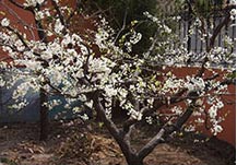 無紡布，無紡布廠家，彈力無紡布，紡粘無紡布，東陽市萊馳環(huán)保科技有限公司